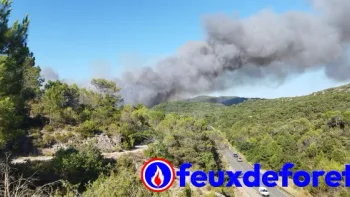 Incendie à Carlencas-et-Levas - Hérault - 5 juillet 2026 - Feux de forêts et d'espaces naturels