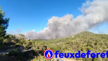 Incendie à Carlencas-et-Levas - Hérault - 5 juillet 2026 - Feux de forêts et d'espaces naturels