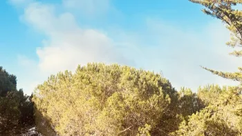 Incendie à Carlencas-et-Levas - Hérault - 5 juillet 2026 - Feux de forêts et d'espaces naturels