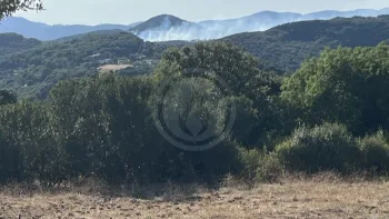 Incendie à Carlencas-et-Levas - Hérault - 5 juillet 2026 - Feux de forêts et d'espaces naturels