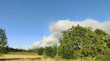 Incendie à Carlencas-et-Levas - Hérault - 5 juillet 2026 - Feux de forêts et d'espaces naturels