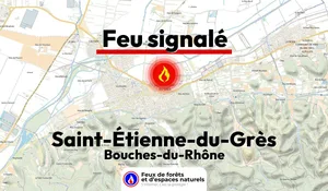 Incendie à Saint-Étienne-du-Grès (13) : le feu est éteint