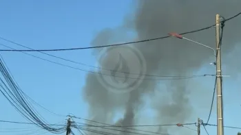 Incendie à Saint-Loubès - Gironde - 5 juillet 2026 - Feux de forêts et d'espaces naturels