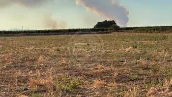 Incendie à Cessenon-sur-Orb - Hérault - 5 juillet 2026 - Feux de forêts et d'espaces naturels