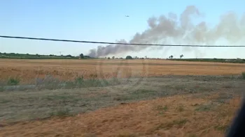 Incendie à Abeilhan - Hérault - 5 juillet 2026 - Feux de forêts et d'espaces naturels