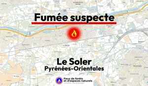 Incendie à Le Soler (66) : le feu est éteint