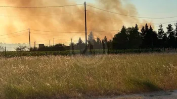 Incendie à Saint-Geniès-de-Comolas - Gard - 5 juillet 2026 - Feux de forêts et d'espaces naturels