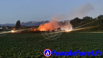 Incendie à Étoile-sur-Rhône - Drôme - 5 juillet 2026 - Feux de forêts et d'espaces naturels