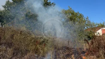 Incendie à Coux - Charente-Maritime - 6 juillet 2026 - Feux de forêts et d'espaces naturels