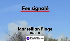 Marseillan Plage (34)