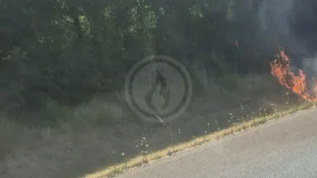 Incendie à Lozay - Charente-Maritime - 6 juillet 2026 - Feux de forêts et d'espaces naturels