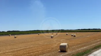 Incendie à Merpins - Charente - 6 juillet 2026 - Feux de forêts et d'espaces naturels