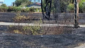 Incendie à Blagnac - Haute-Garonne - 6 juillet 2026 - Feux de forêts et d'espaces naturels