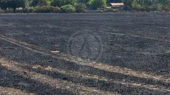 Incendie à Blagnac - Haute-Garonne - 6 juillet 2026 - Feux de forêts et d'espaces naturels