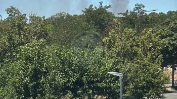 Incendie à Blagnac - Haute-Garonne - 6 juillet 2026 - Feux de forêts et d'espaces naturels