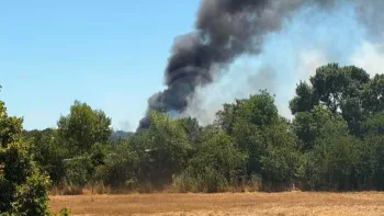 Incendie à Blagnac - Haute-Garonne - 6 juillet 2026 - Feux de forêts et d'espaces naturels