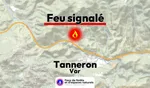 Tanneron (83)