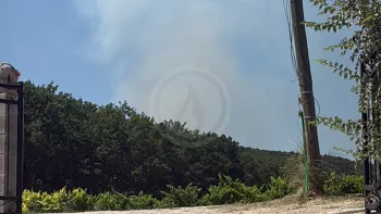 Incendie à Cadenet - Vaucluse - 6 juillet 2026 - Feux de forêts et d'espaces naturels
