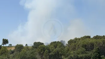 Incendie à Cadenet - Vaucluse - 6 juillet 2026 - Feux de forêts et d'espaces naturels