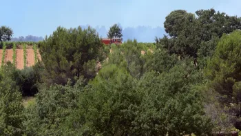 Incendie à Cadenet - Vaucluse - 6 juillet 2026 - Feux de forêts et d'espaces naturels