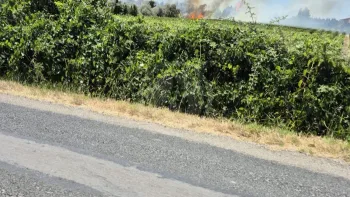 Incendie à Loupian - Hérault - 6 juillet 2026 - Feux de forêts et d'espaces naturels