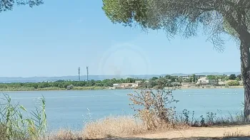 Incendie à Lattes - Hérault - 6 juillet 2026 - Feux de forêts et d'espaces naturels