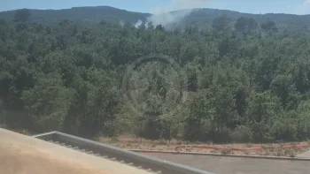 Incendie à Brignoles - Var - 6 juillet 2026 - Feux de forêts et d'espaces naturels