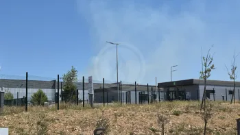 Incendie à Brignoles - Var - 6 juillet 2026 - Feux de forêts et d'espaces naturels