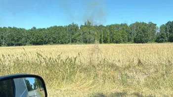 Incendie à Mirambeau - Charente-Maritime - 6 juillet 2026 - Feux de forêts et d'espaces naturels
