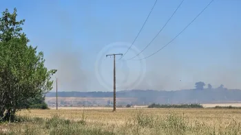 Incendie à Mirambeau - Charente-Maritime - 6 juillet 2026 - Feux de forêts et d'espaces naturels
