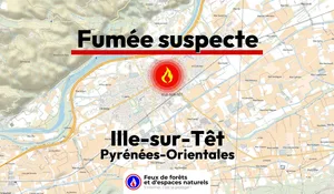 Incendie à Ille-sur-Têt (66) : le feu est éteint