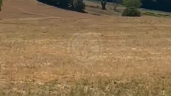 Incendie à Saint-Vincent-le-Paluel - Dordogne - 6 juillet 2026 - Feux de forêts et d'espaces naturels