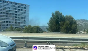 Incendie à Toulon (83) : les pompiers interviennent
