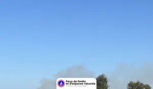 Incendie à Arles (13) : les pompiers interviennent