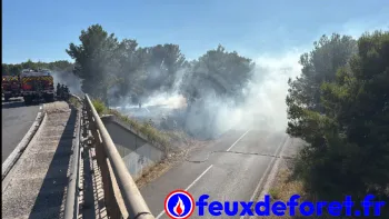 Incendie à Martigues - Bouches-du-Rhône - 6 juillet 2026 - Feux de forêts et d'espaces naturels
