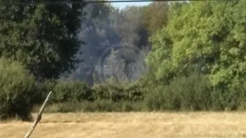 Incendie à Saint-Médard-de-Guizières - Gironde - 6 juillet 2026 - Feux de forêts et d'espaces naturels