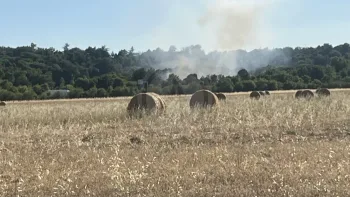 Incendie à Saint-Médard-de-Guizières - Gironde - 6 juillet 2026 - Feux de forêts et d'espaces naturels