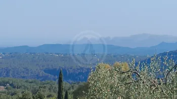 Incendie à Fréjus - Var - 6 juillet 2026 - Feux de forêts et d'espaces naturels