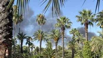 Incendie à Fréjus - Var - 6 juillet 2026 - Feux de forêts et d'espaces naturels