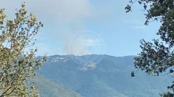 Incendie à Zicavo - Corse-du-Sud - 6 juillet 2026 - Feux de forêts et d'espaces naturels