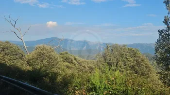 Incendie à Zicavo - Corse-du-Sud - 6 juillet 2026 - Feux de forêts et d'espaces naturels