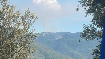 Incendie à Zicavo - Corse-du-Sud - 6 juillet 2026 - Feux de forêts et d'espaces naturels