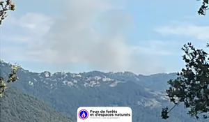 Incendie à Zicavo (2A) : le feu est éteint