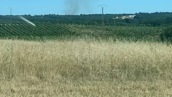 Incendie à Camarsac - Gironde - 6 juillet 2026 - Feux de forêts et d'espaces naturels