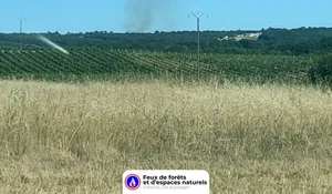 Incendie à Camarsac (33) : le feu est éteint