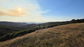 Incendie à Hures-la-Parade - Lozère - 6 juillet 2026 - Feux de forêts et d'espaces naturels