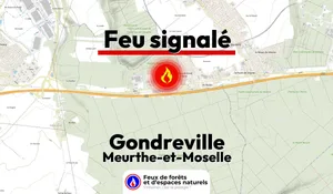 Incendie à Gondreville (54) : le feu est éteint