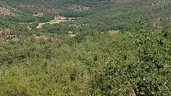 Incendie à Arcambal - Lot - 7 juillet 2026 - Feux de forêts et d'espaces naturels