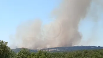Incendie à Arcambal - Lot - 7 juillet 2026 - Feux de forêts et d'espaces naturels