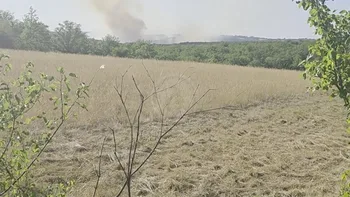 Incendie à Arcambal - Lot - 7 juillet 2026 - Feux de forêts et d'espaces naturels